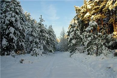 系列总监表示《零》系列未来将推出更多复刻版